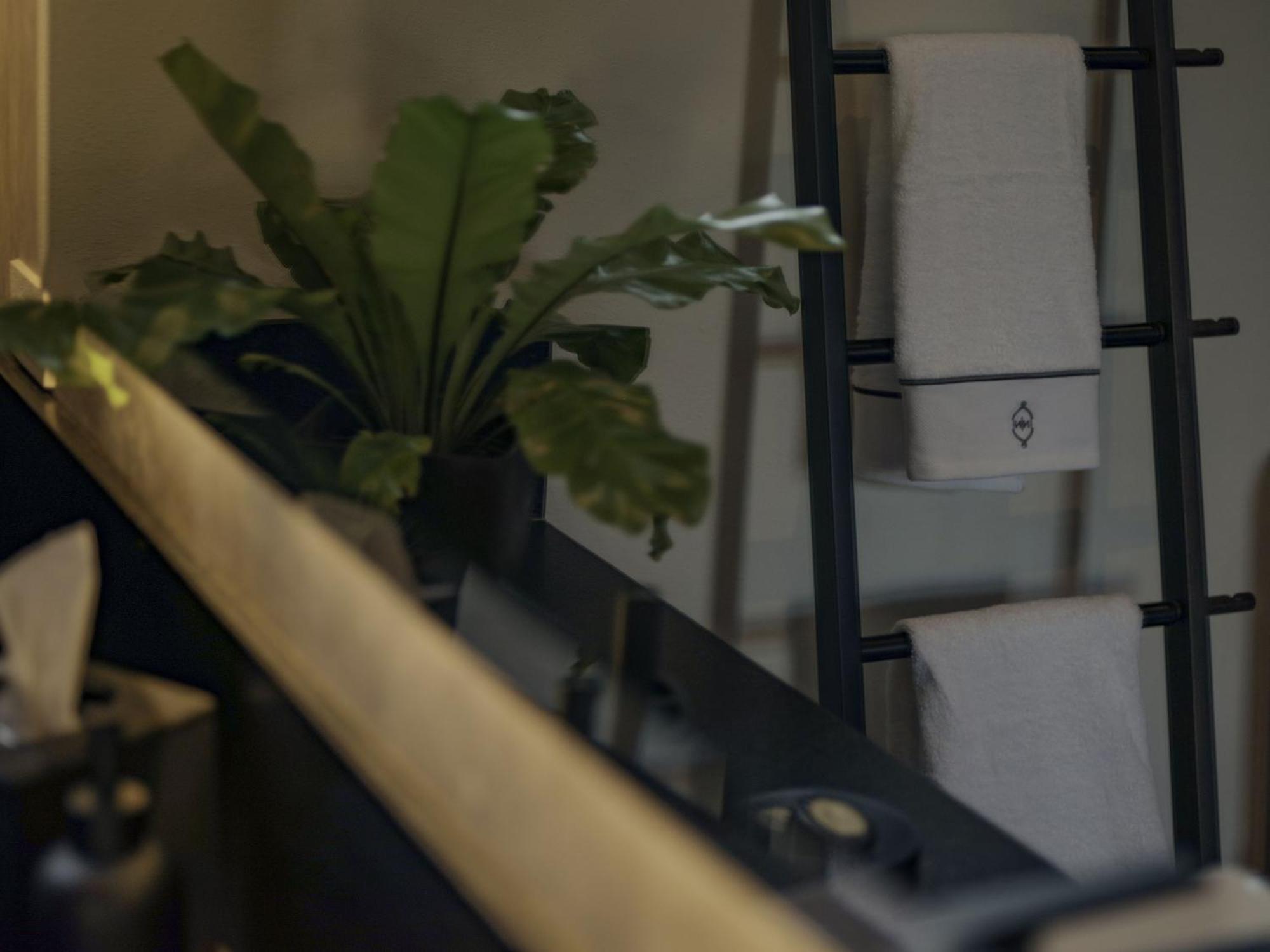Casa No Name Small Luxury Hotel 산미겔데아옌데 객실 사진